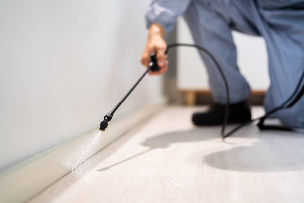 Licensed Fumigation Services service in Ecorse, MI - Nex Pest Control