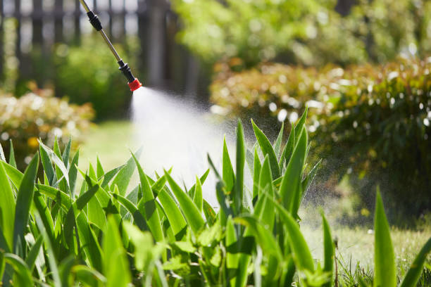 24/7 Emergency Fumigation Services experts in Ecorse, MI